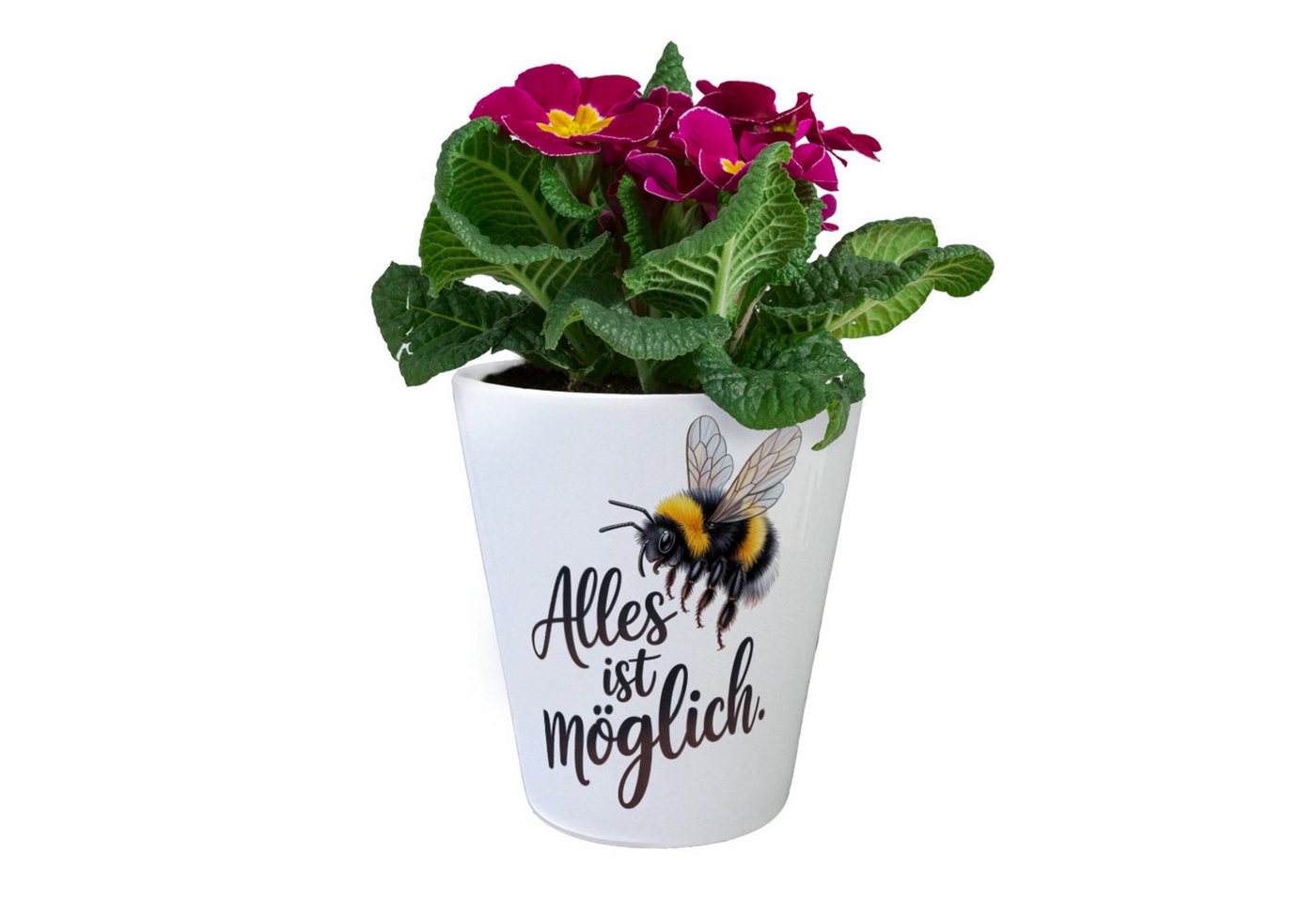 speecheese Blumentopf Alles ist möglich Hummel Blumentopf Bild 2