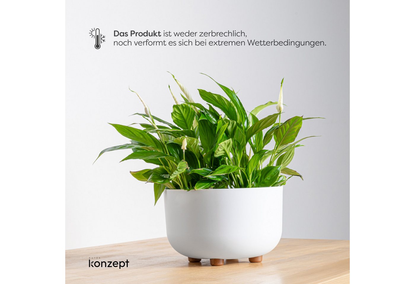 KONZEPT Blumentopf mit Füßen Ø 27 cm, für innen & außen, Mit abnehmbaren Füßen. Für Kräuter, Blumen und kompakte Grünpflanzen. Bild 3