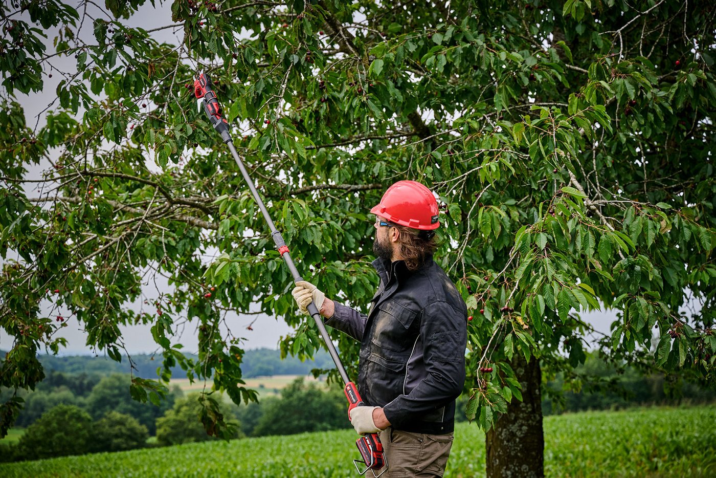 Einhell Akku-Astschere Teleskopstab GP-LS18/28 Li BL