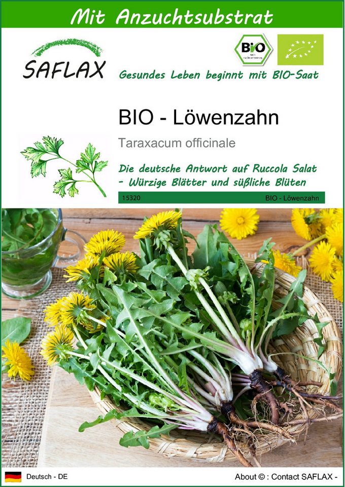 SAFLAX Kräutersamen SAFLAX - Samen und Substrat - BIO - Löwenzahn Bild 2