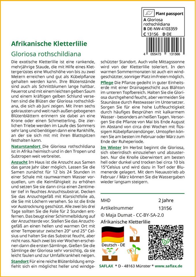 SAFLAX Blumensamen SAFLAX - Garden in the bag - Afrikanische Kletterlilie Bild 3