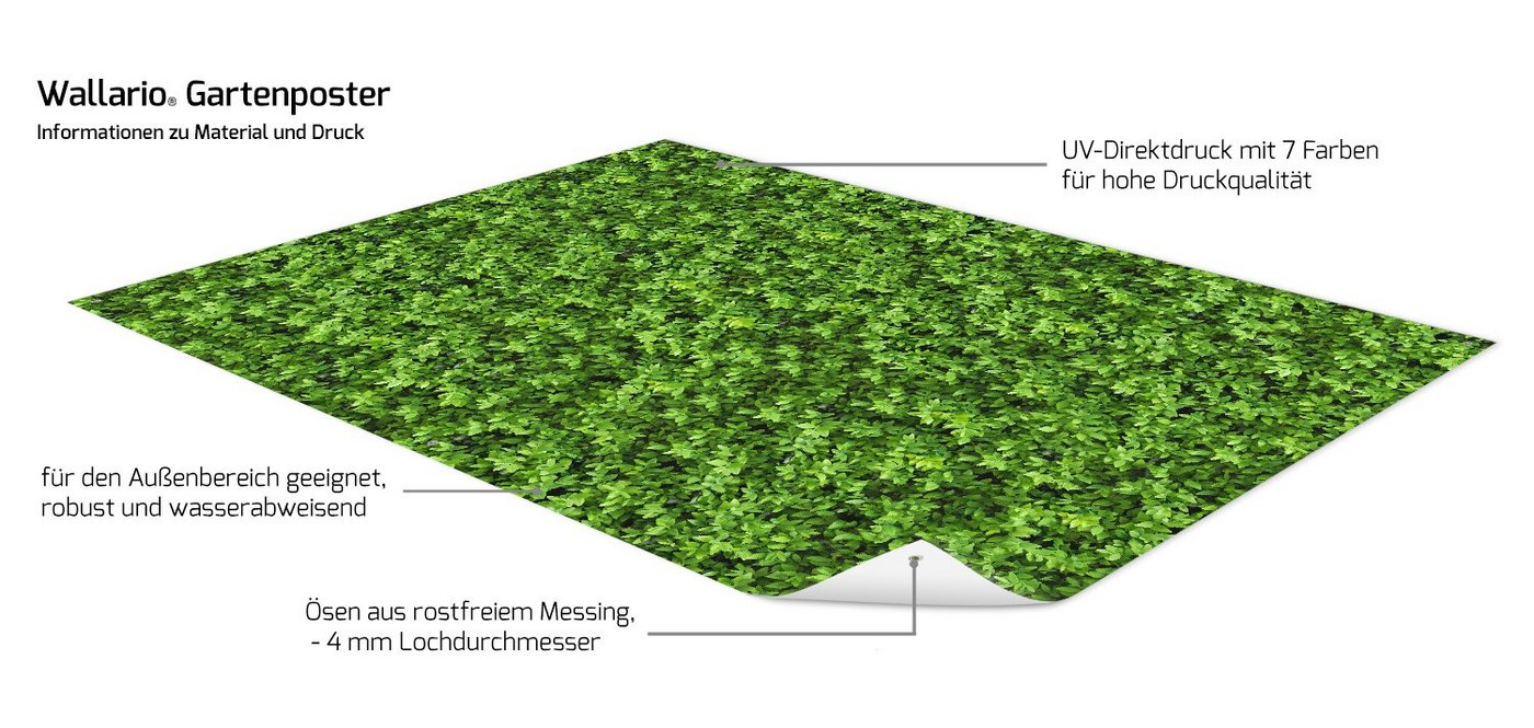 Wallario Sichtschutzzaunmatten Grüne Hecke
