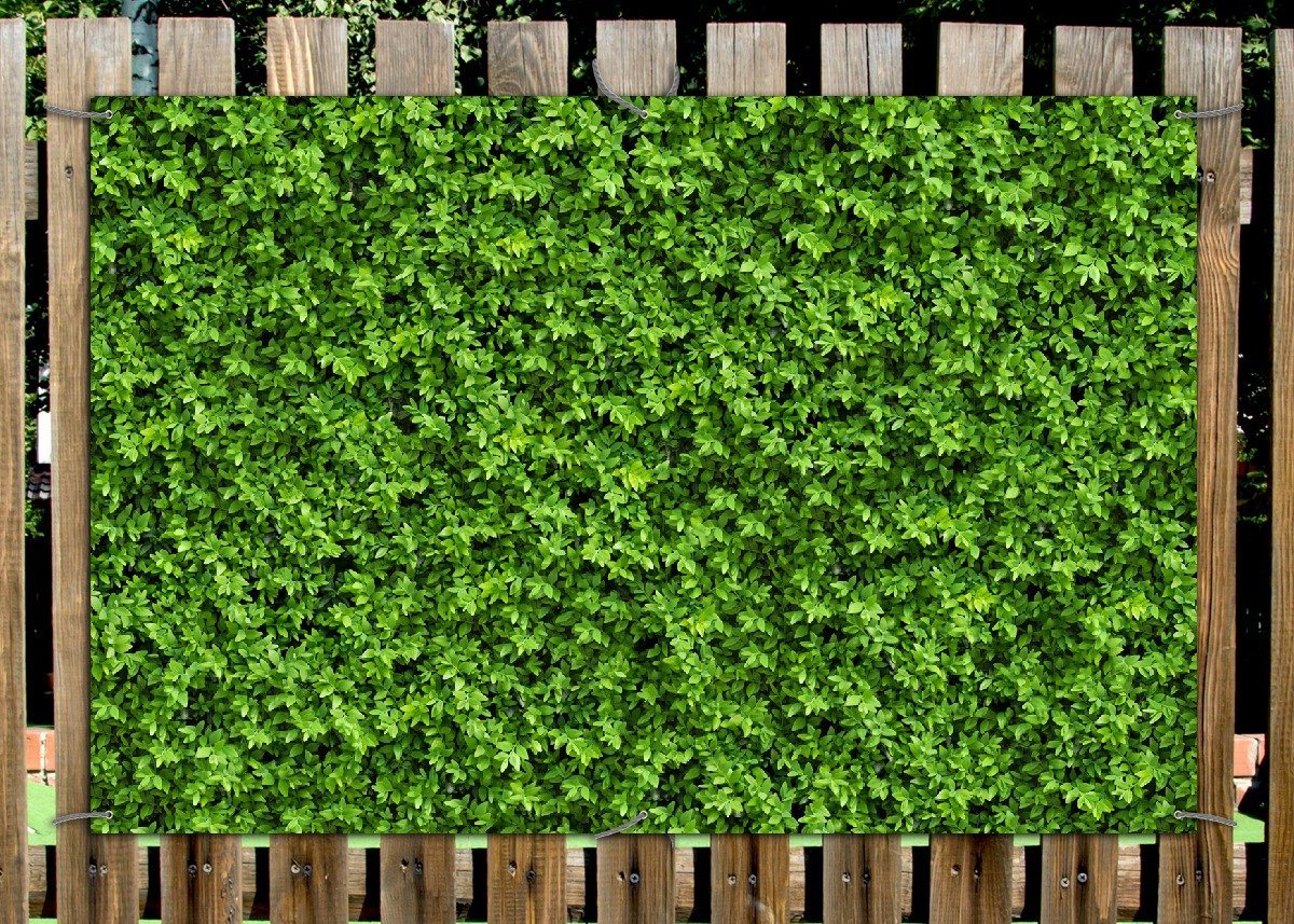 Wallario Sichtschutzzaunmatten Grüne Hecke Bild 2