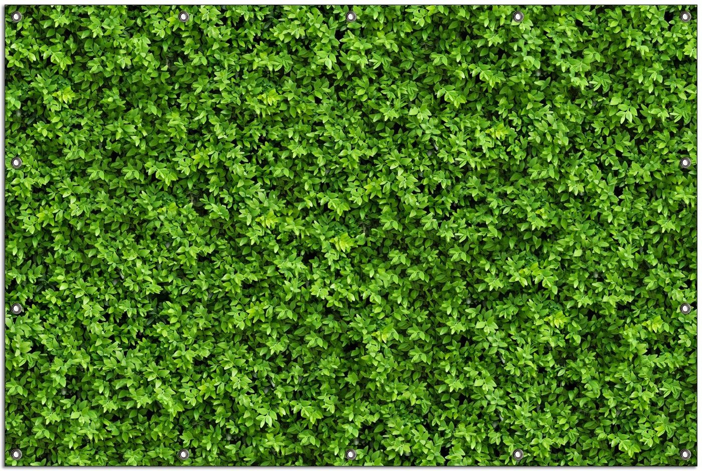 Wallario Sichtschutzzaunmatten Grüne Hecke Bild 3