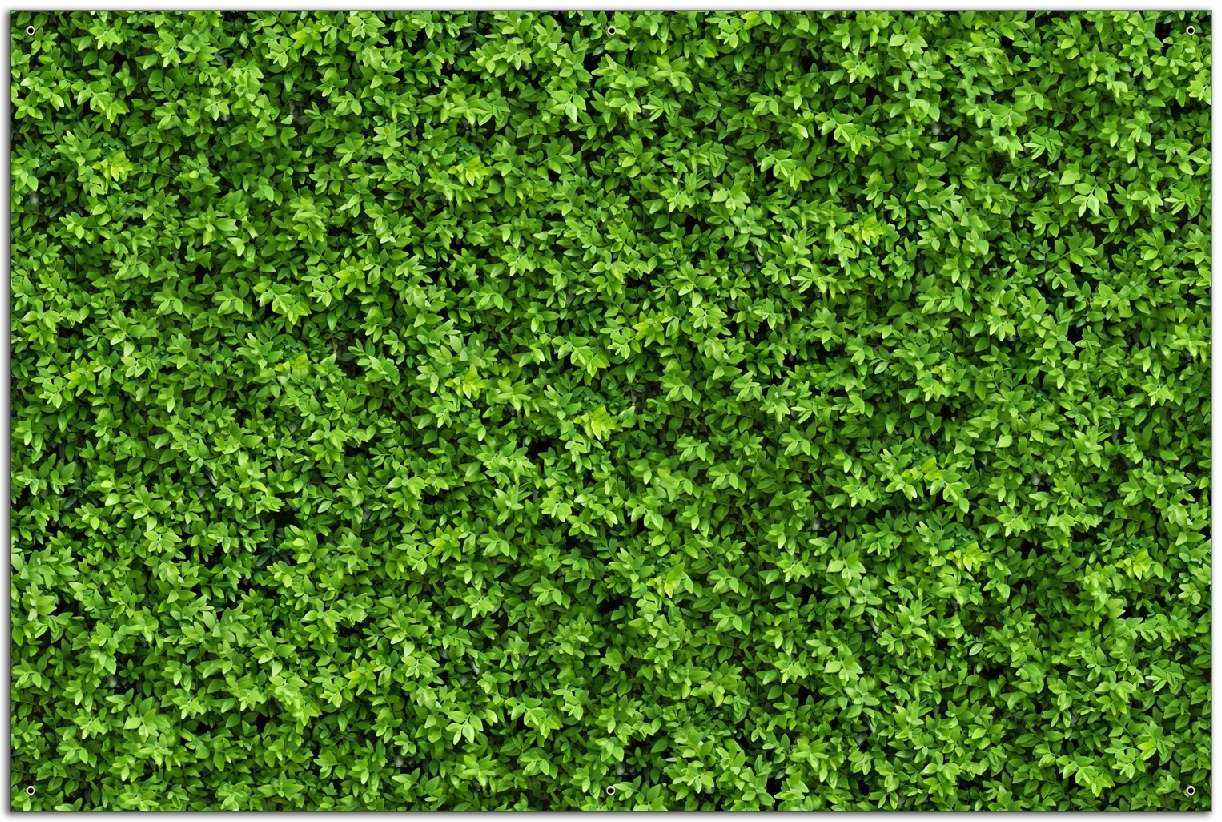 Wallario Sichtschutzzaunmatten Grüne Hecke Bild 4