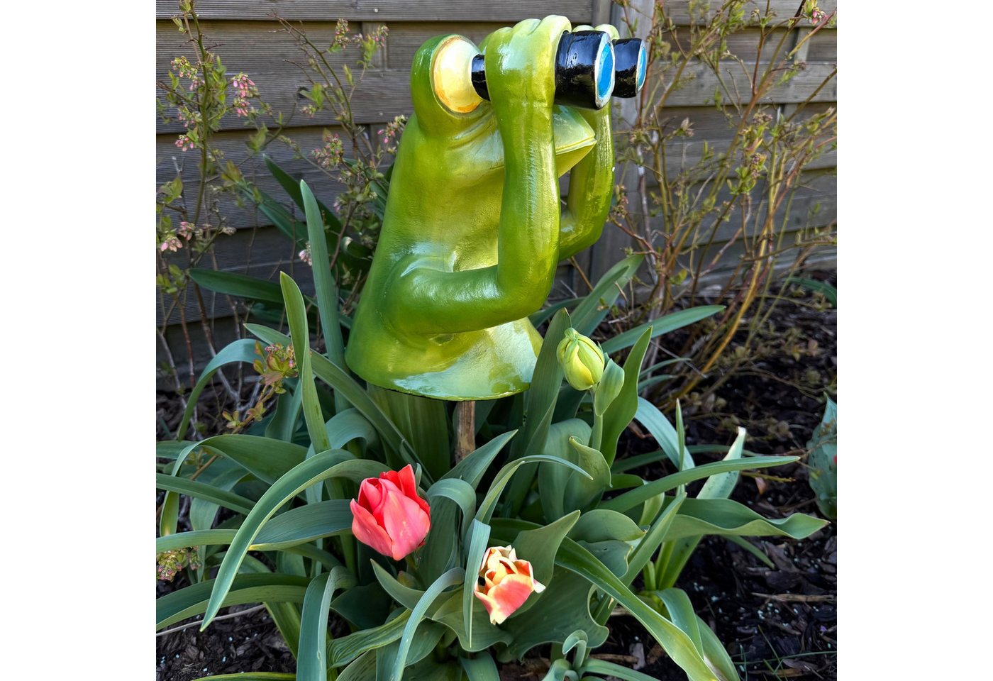 Online-Fuchs Gartenfigur Deko Figuren Frosch mit Fernglas, Spanner für Garten, Balkon, Terrasse, Gartenstecker, Beetstecker - wetterfest, für den Außenbereich geeignet Bild 4