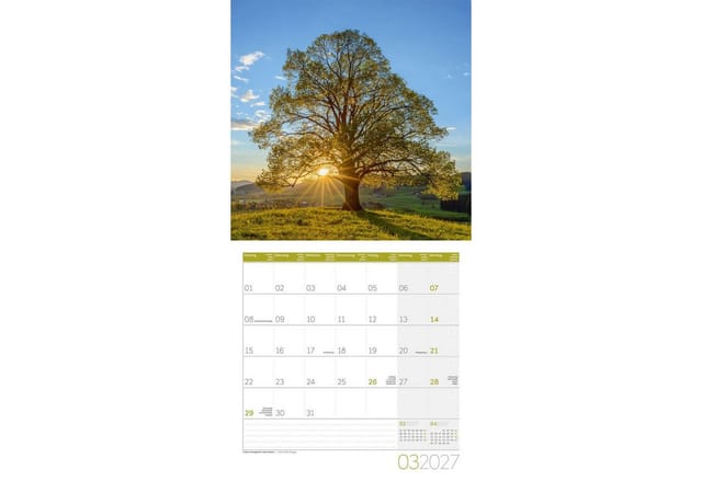Ackermann Wandkalender Magie des Lichts Kalender 2027 - 30x30 - Art12