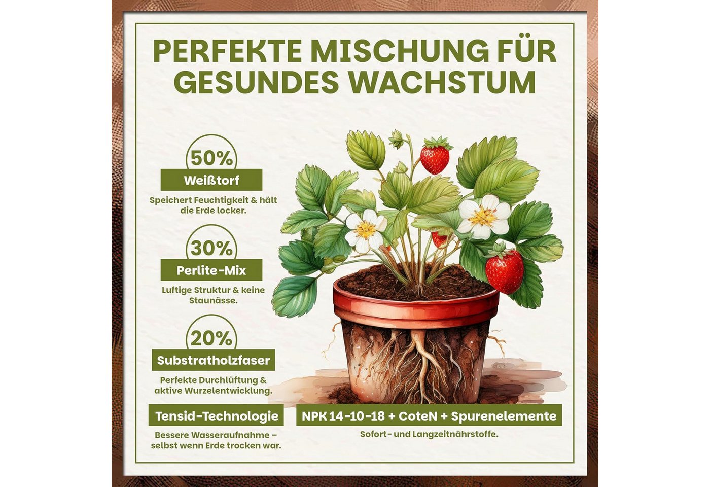 GREEN HOME LOVE NATURE Spezialerde Beerenobst Erde – Substrat für Erdbeeren, Obst- und Beerenpflanzen 18 L, 36 L, 72 L, Bio-Qualität, Perlite, NPK 14-10-18 + CoteN, pH 5,8, Langzeitwirkung Bild 5