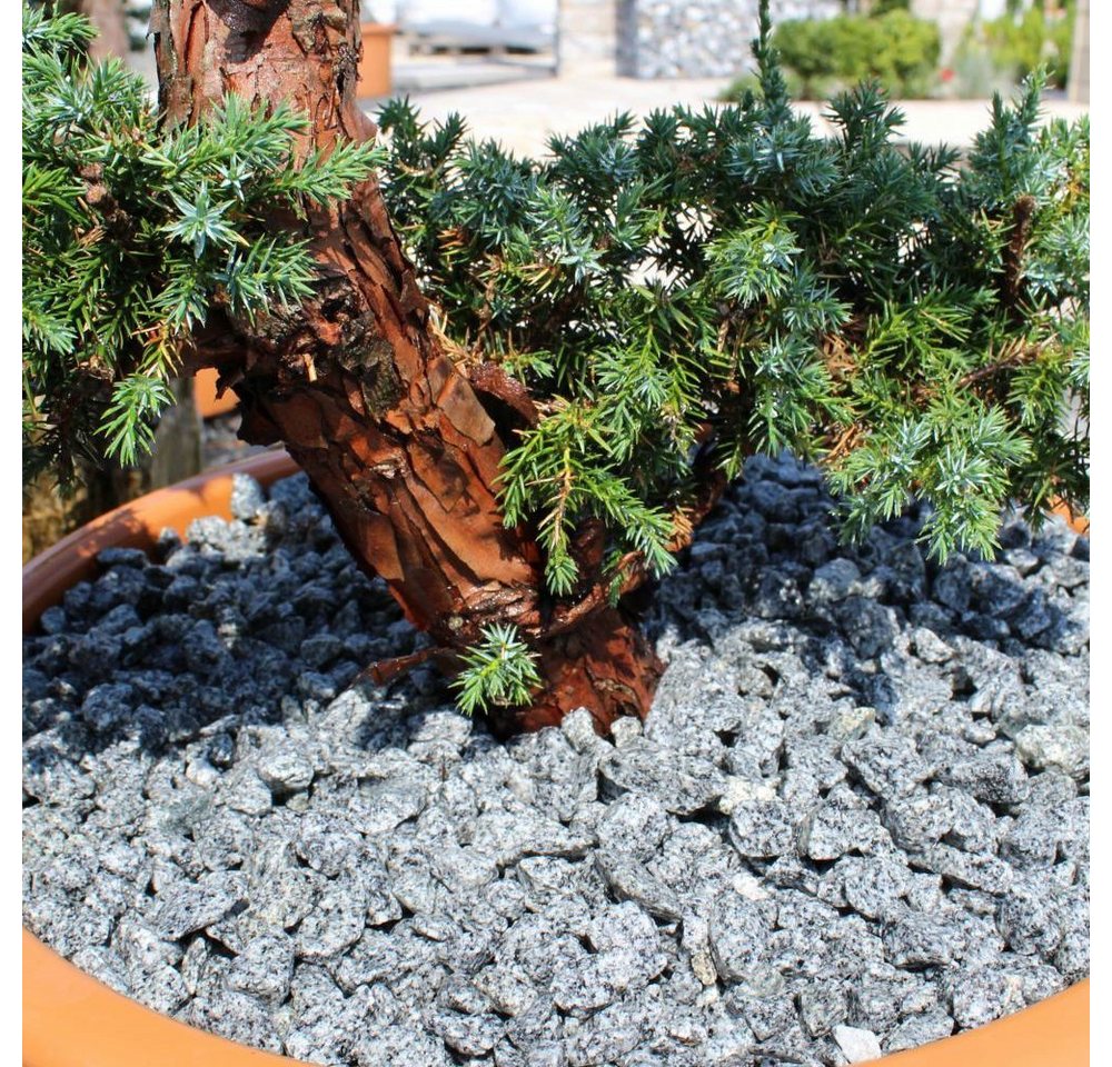 CM-Gartendesign Stein Passauer Granit Splitt, (2/5mm, grau), 20kg Bild 3