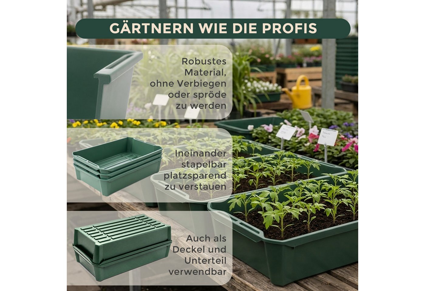 Hausfelder Pflanzschale Pikierschale, Anzuchtschale Grün, 32x58x11cm, 10 Sttück (10er Set, 10 St), als Pflanzwanne, Blumenkasten oder Anzuchtschale nutzbar