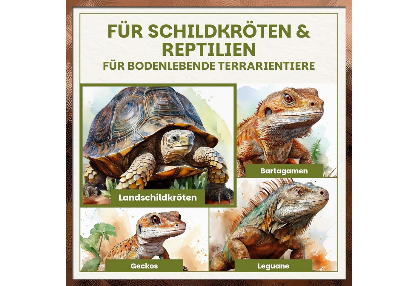 GREEN HOME LOVE NATURE Spezialerde Schildkrötenerde 31L, Schildkrötensubstrat für Landschildkröten 31 L, Formstabil, Eiablagefähig, Hautschonend, Schimmelhemmend, pH-stabil Bild 5