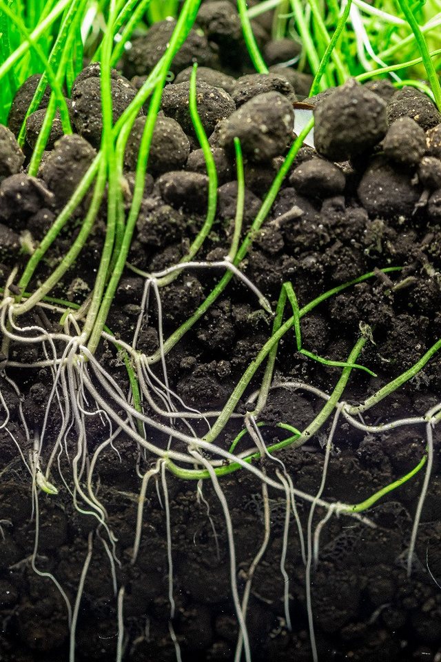Dennerle Plants Care Aquarien-Substrat Dennerle Plants Soil 9 kg