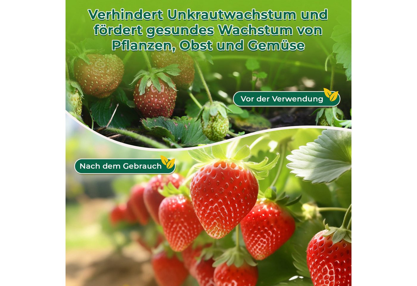 OUNUO Unkrautvlies Gartenvlies 100g/m² Wasserdurchlässig UV-beständig, 2m x10m mit 50 Erdanker Bild 4