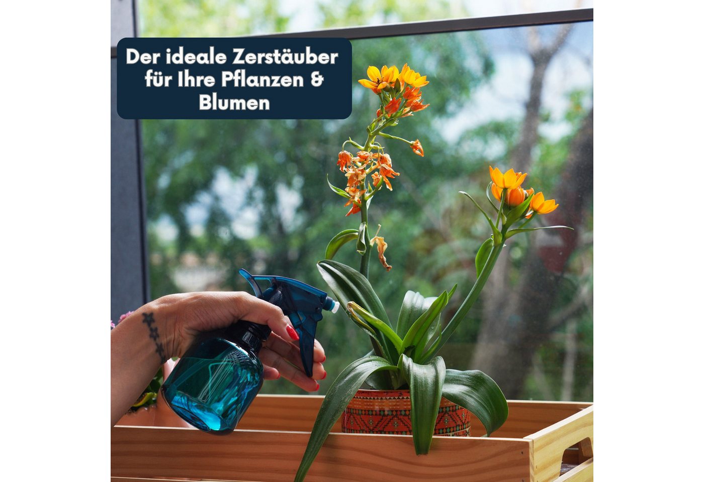 Dilara Sprühflasche Sprühflaschen klein für Pflanzen, Blumen, Friseurbedarf Sprühflaschen, (6-tlg), Ein Sprüher für alles – präzise, vielseitig, leicht in der Hand