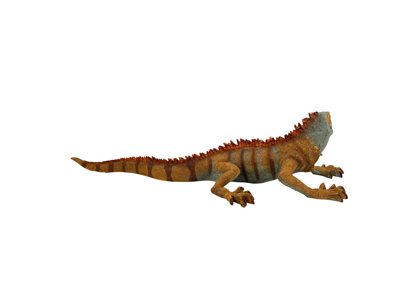Online-Fuchs Gartenfigur EIDECHSE, ähnlich Bartagame für außen - Deko Figuren - 50 cm groß, (natürliche Farbgebung, 9522), aufwendig gestaltet, strukturierter Oberfläche, realistische Details Bild 3