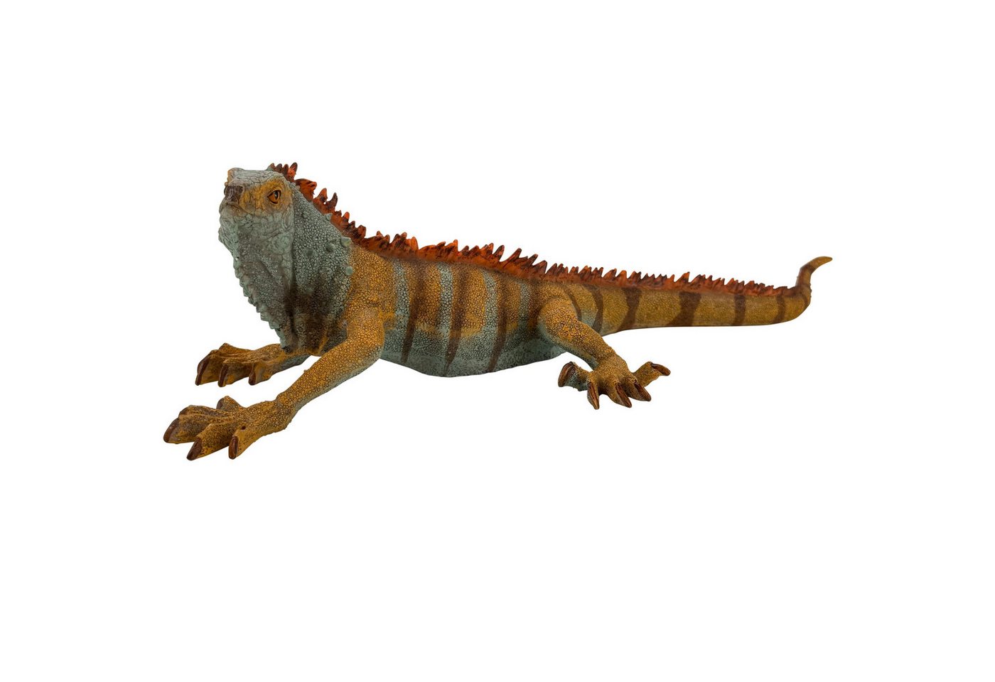 Online-Fuchs Gartenfigur EIDECHSE, ähnlich Bartagame für außen - Deko Figuren - 50 cm groß, (natürliche Farbgebung, 9522), aufwendig gestaltet, strukturierter Oberfläche, realistische Details Bild 5