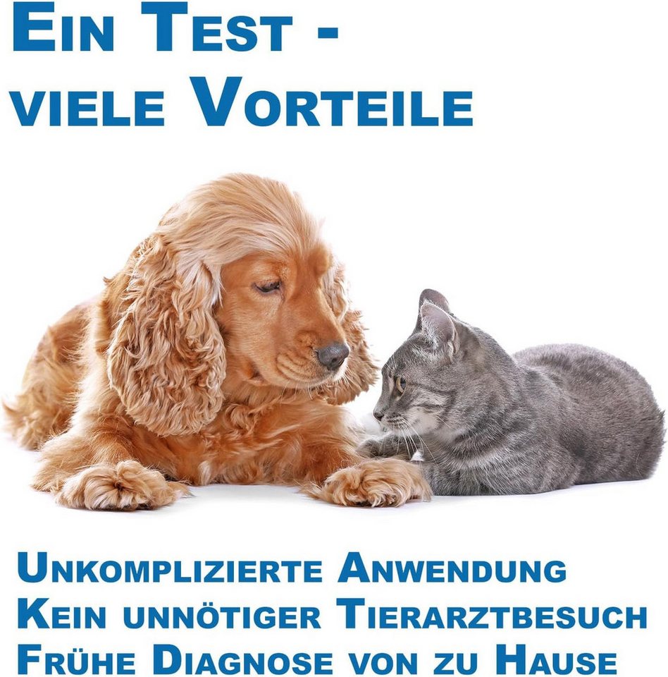 Cera-Pet Darmparasiten-Test Giardien Schnelltest für Hund und Katze, 2-tlg. Bild 4