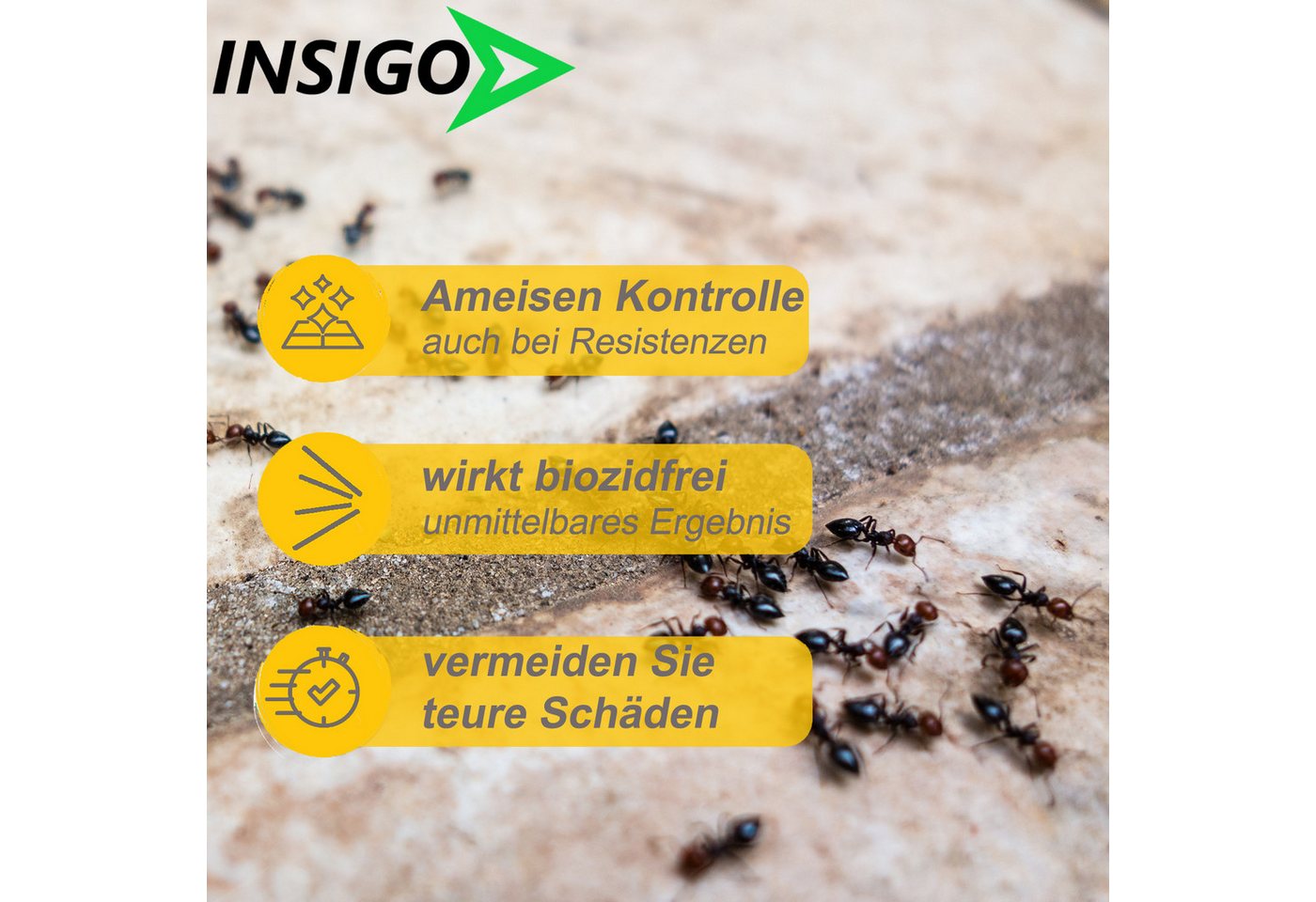INSIGO Insektenspray Ameisen Spray gegen Ameisen, Larven & Eier, 1 l, 1000 ml, 2-St., biozidfreie Formel, auf Wasserbasis, geruchsarm, brennt / ätzt nicht