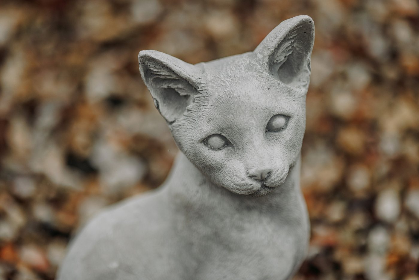gartendekoparadies.de Gartenfigur Stehende Katze, Steinfigur, H. 40 cm, 12 kg, Frostsicher Bild 5