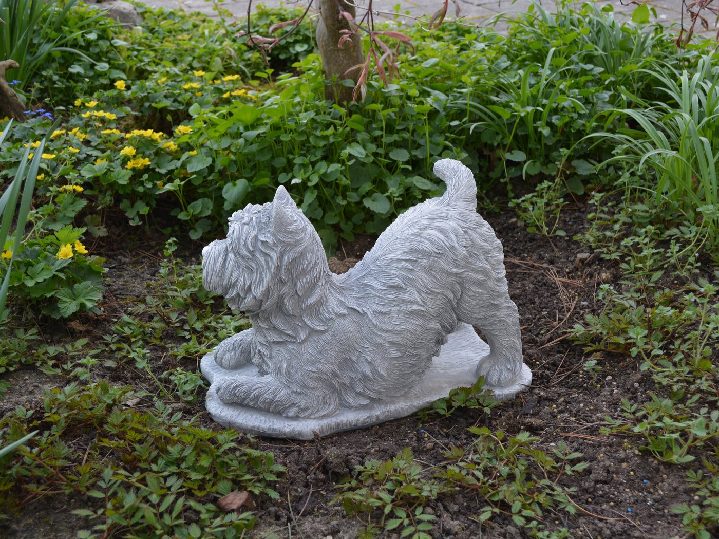 gartendekoparadies.de Gartenfigur Hund West Highland White Terrier Westie, H. 25 cm, 13 kg, Frostsicher
