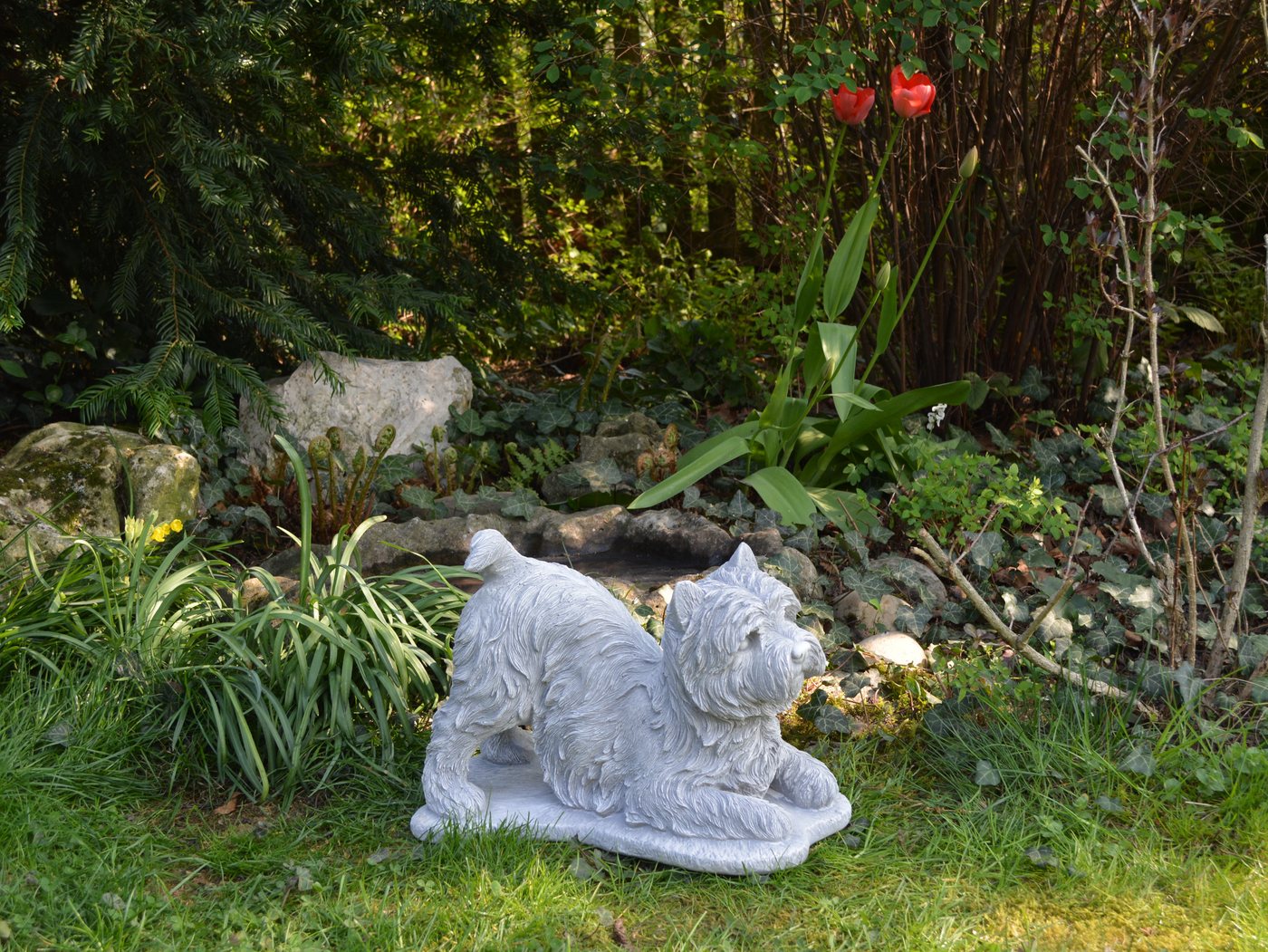gartendekoparadies.de Gartenfigur Hund West Highland White Terrier Westie, H. 25 cm, 13 kg, Frostsicher Bild 2