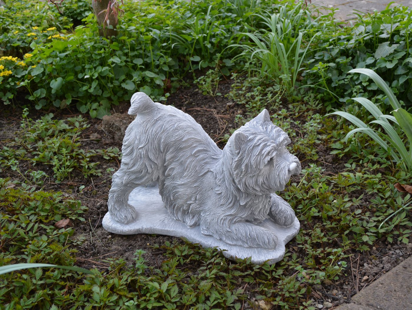 gartendekoparadies.de Gartenfigur Hund West Highland White Terrier Westie, H. 25 cm, 13 kg, Frostsicher Bild 3