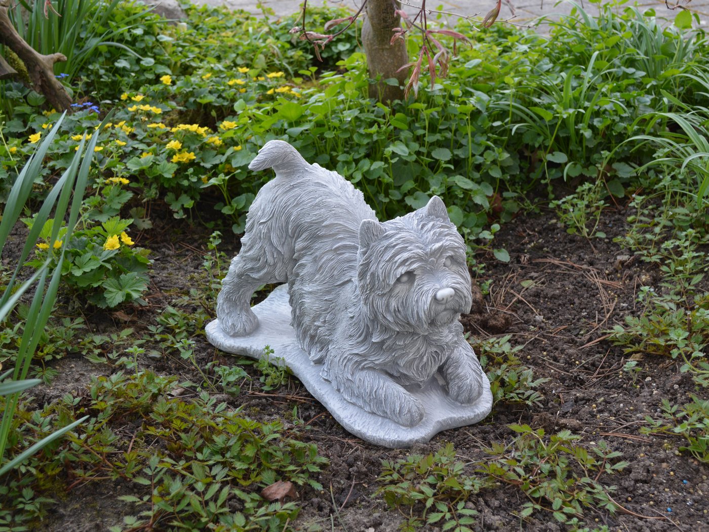 gartendekoparadies.de Gartenfigur Hund West Highland White Terrier Westie, H. 25 cm, 13 kg, Frostsicher Bild 4