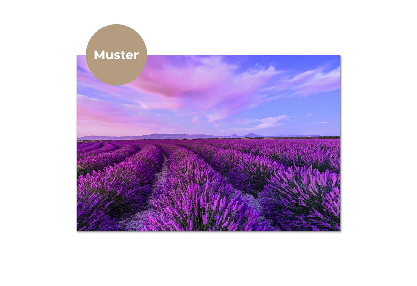 KitchenYeah Küchenrückwand Muster selbstklebend (keine Folie) Lavendel - Lila - Blumen - Natur, (1-tlg), Spritzschutz, Küche, Rückwand, Küchenwand, Küchenfront, 30x20 cm Bild 3