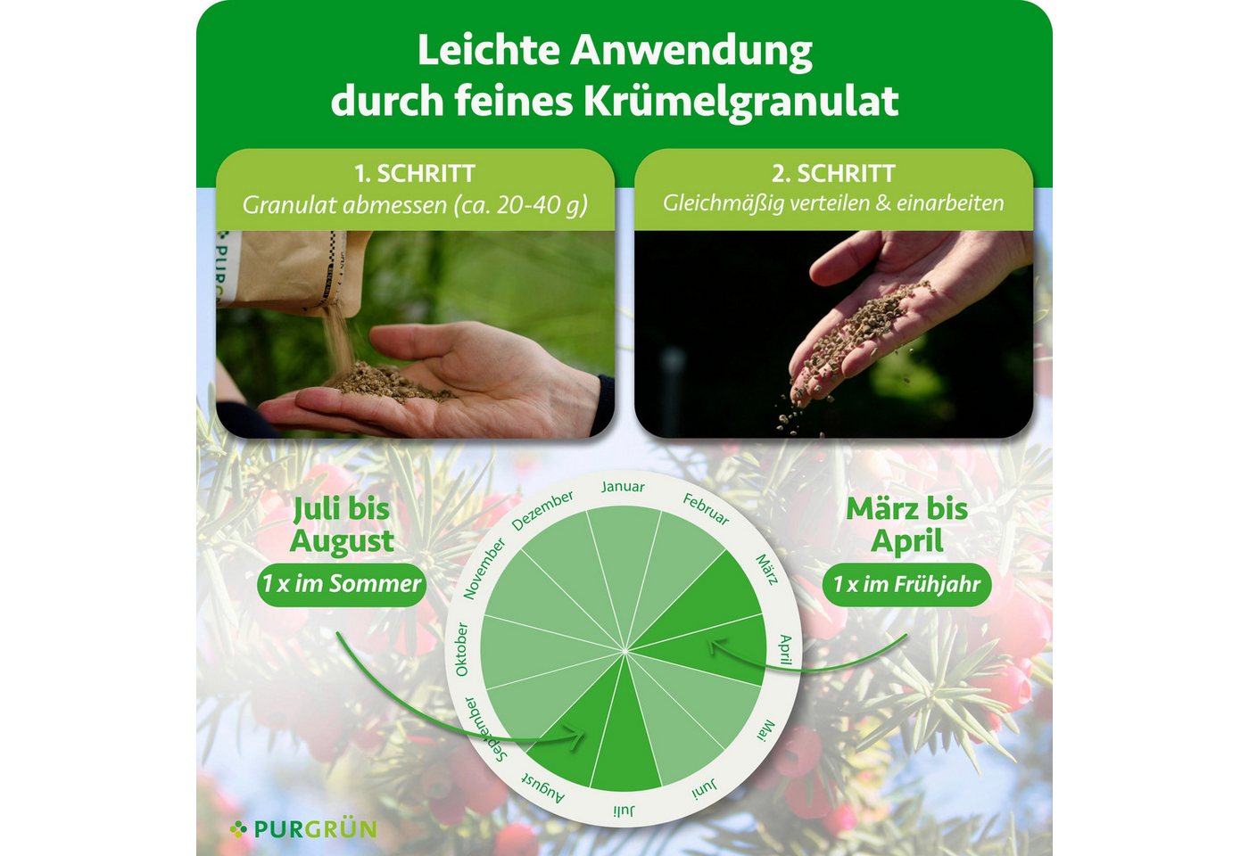 Purgrün Gartendünger Eibendünger, NPK 5+4+6, Magnesium für grüne Nadeln, 1 kg, Granulat, 1-St., 1 kg