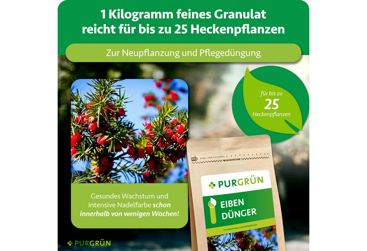 Purgrün Gartendünger Eibendünger, NPK 5+4+6, Magnesium für grüne Nadeln, 1 kg, Granulat, 1-St., 1 kg Bild 4
