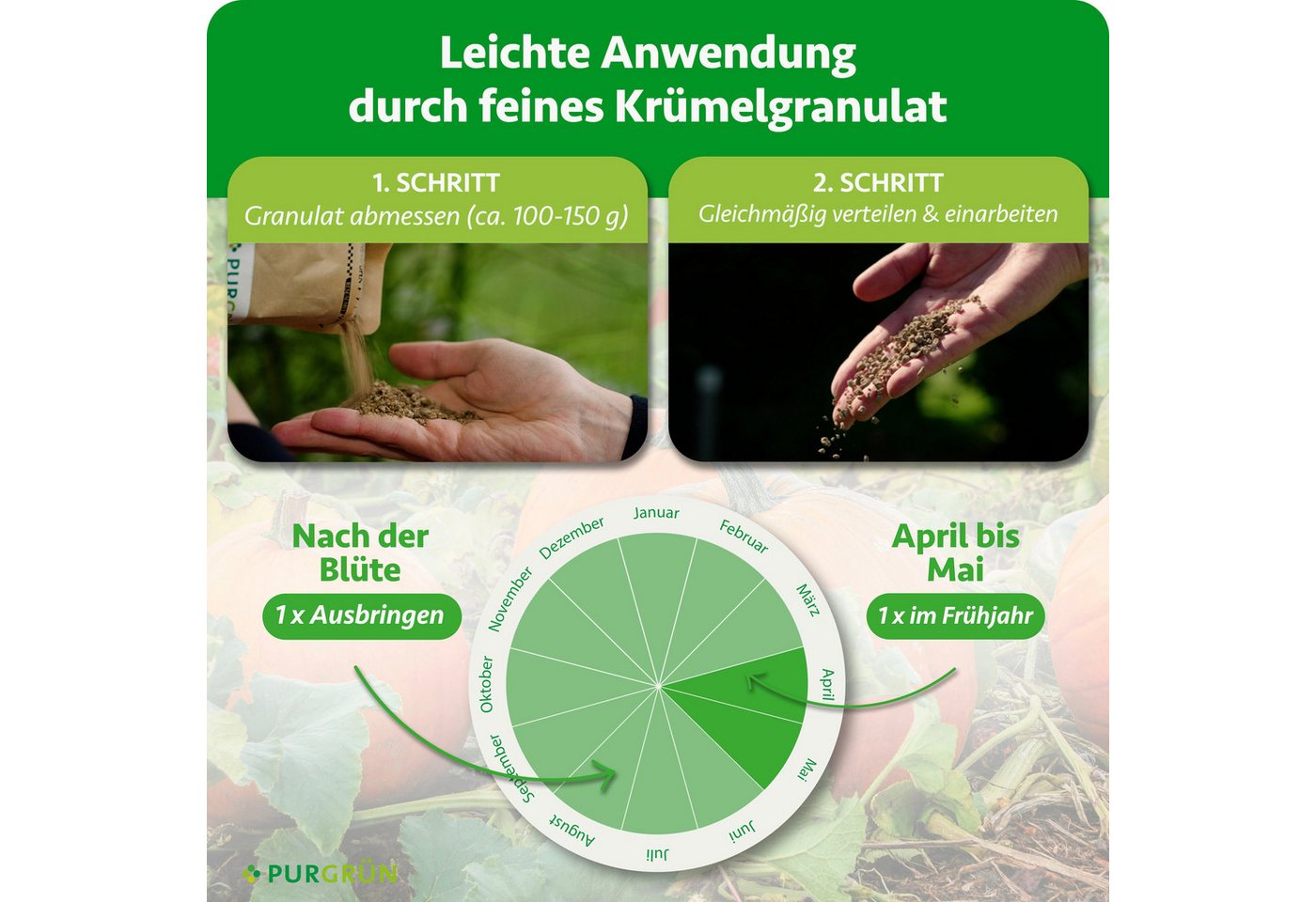 Purgrün Gemüsedünger Bio Kürbis Dünger, NPK 6+3+8, Magnesium, 1 kg, Granulat, 1-St., 1 kg Bild 3