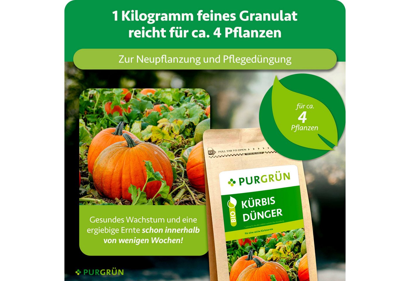 Purgrün Gemüsedünger Bio Kürbis Dünger, NPK 6+3+8, Magnesium, 1 kg, Granulat, 1-St., 1 kg Bild 5