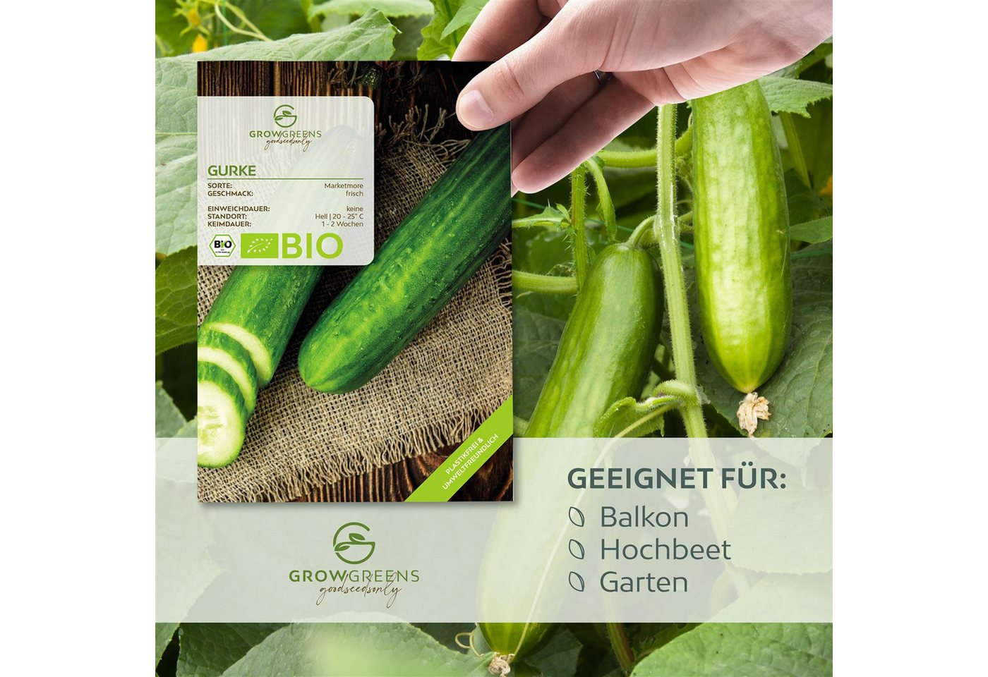Growgreens Gemüsesamen BIO Gurken Samen (Marketmore) - Salatgurke Saatgut (10 Korn), Gemüse Bild 3