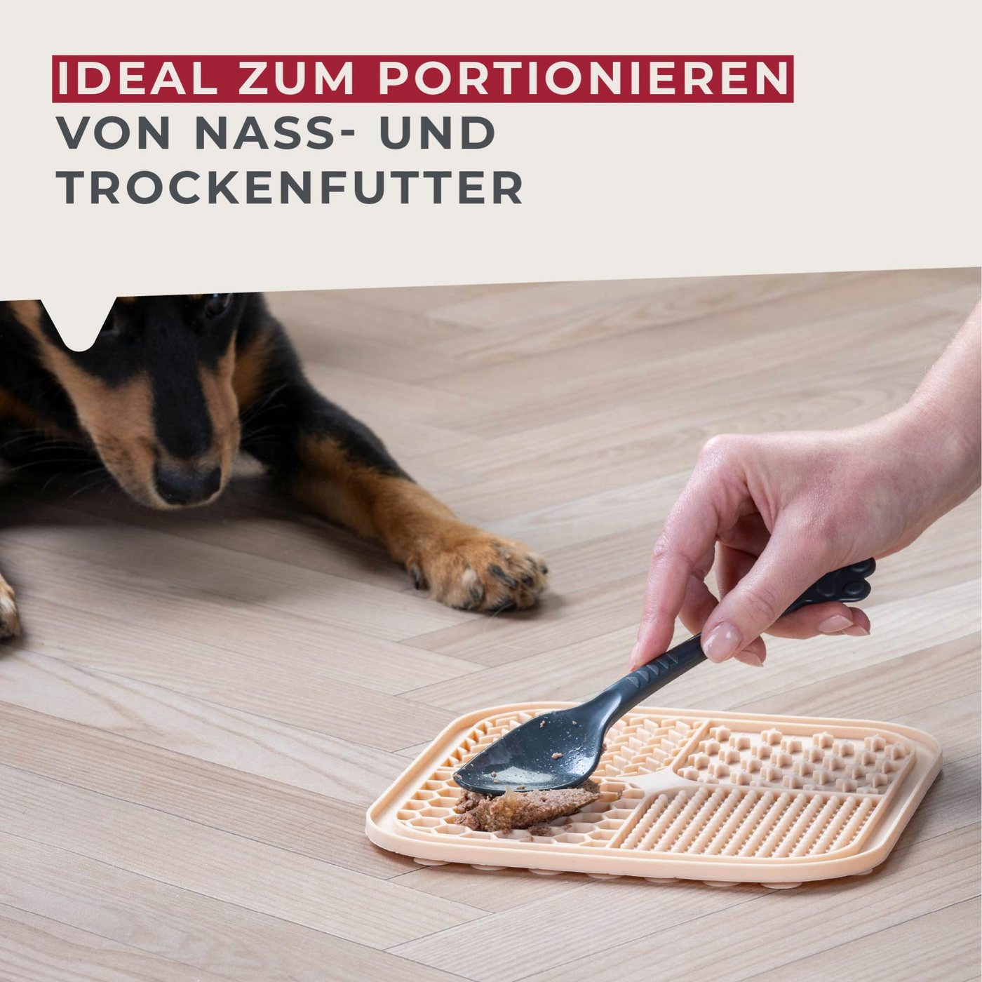 FACKELMANN Futterschaufel Tiernahrungslöffel, Futterlöffel, Katzenlöffel, Hundefutter Löffel Bild 3