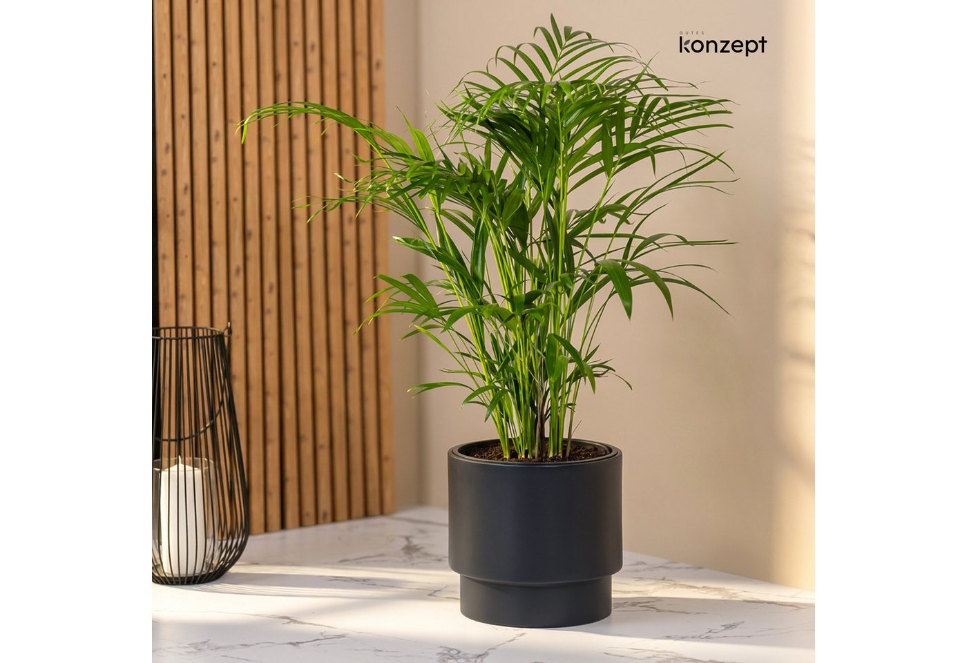 KONZEPT Blumentopf Ø 30 cm, 17 L, aus Kunststoff, mit Einsatz Bild 5