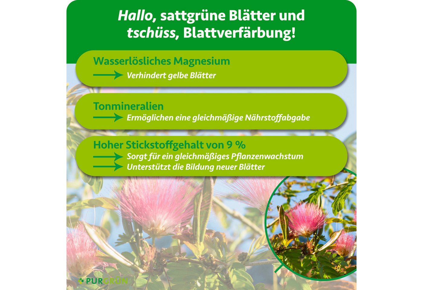 Purgrün Gartendünger Seidenbaum Dünger mit extra Magnesium und NPK 9+4+8, 1 kg, Granulat, 1-St., 1 kg