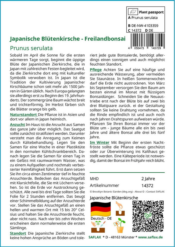 SAFLAX Blumensamen SAFLAX - Anzuchtset - Japanische Blütenkirsche Bild 4