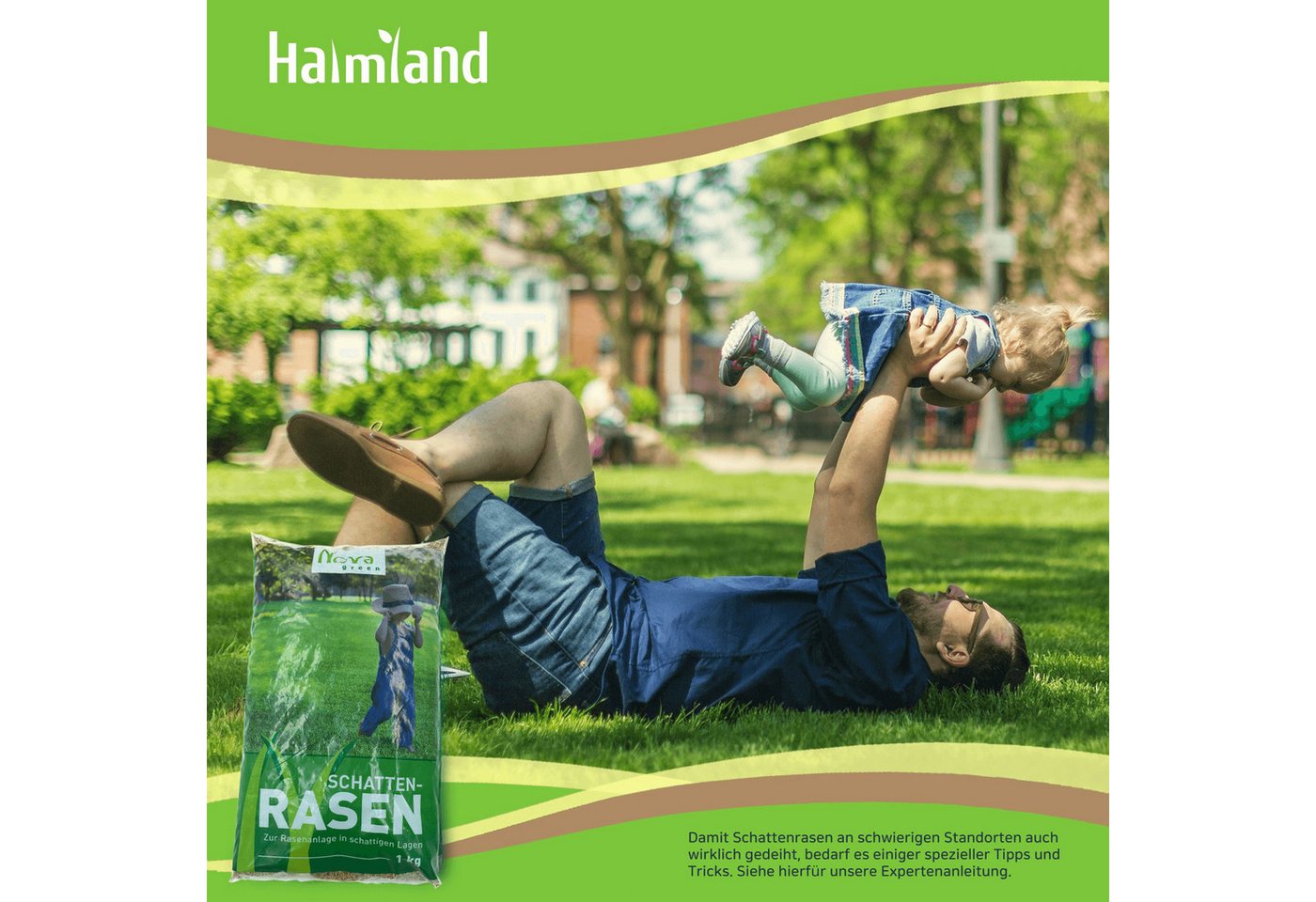 halmland Rasensamen Premium Schattenrasen Rasensamen 1 kg - schnellkeimend, robust, 30m² Bild 4