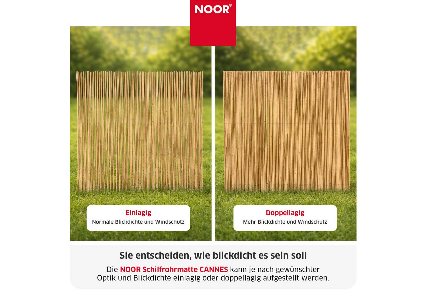 NOOR Sichtschutzzaunmatten Schilfrohrmatte CANNES - Sichtschutz mit Nylonbindung Bild 4