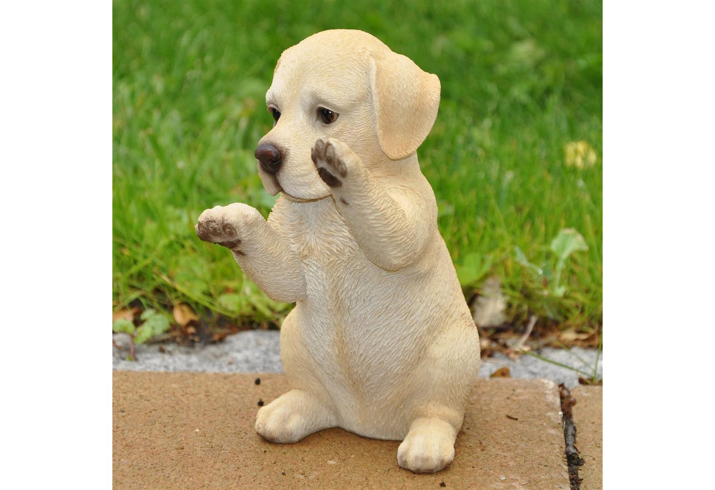 dazikemo Gartenfigur Dekofigur Gartenfigur Labrador Welpe