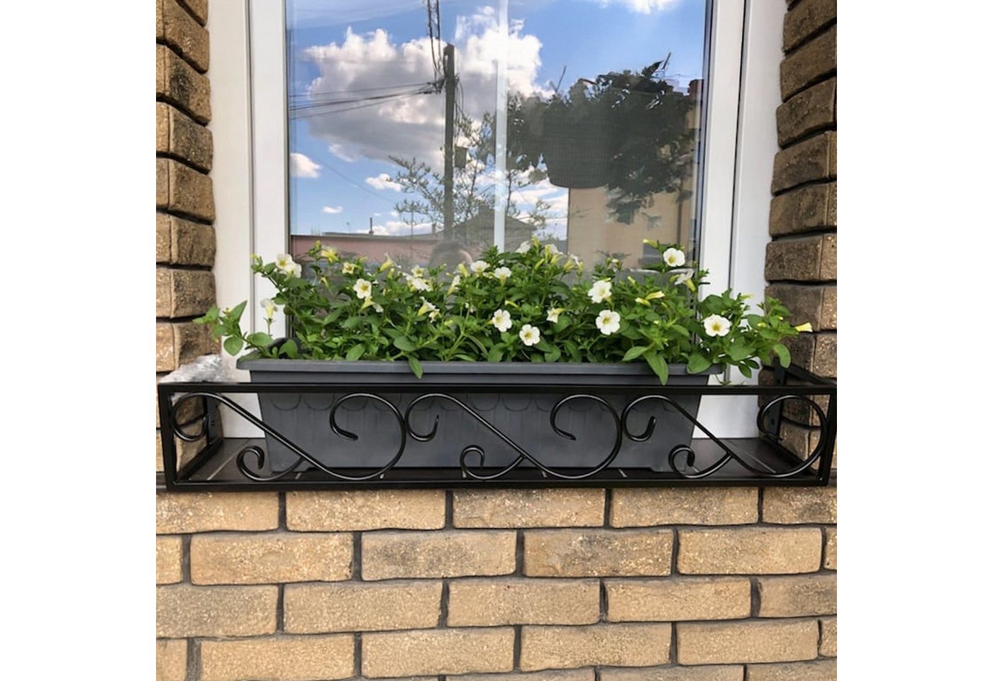 Bandloo Brüstungsgeländer Florify FALA Französischer Balkon Fenstersicherung [BREITE] cm, 96 cm Länge