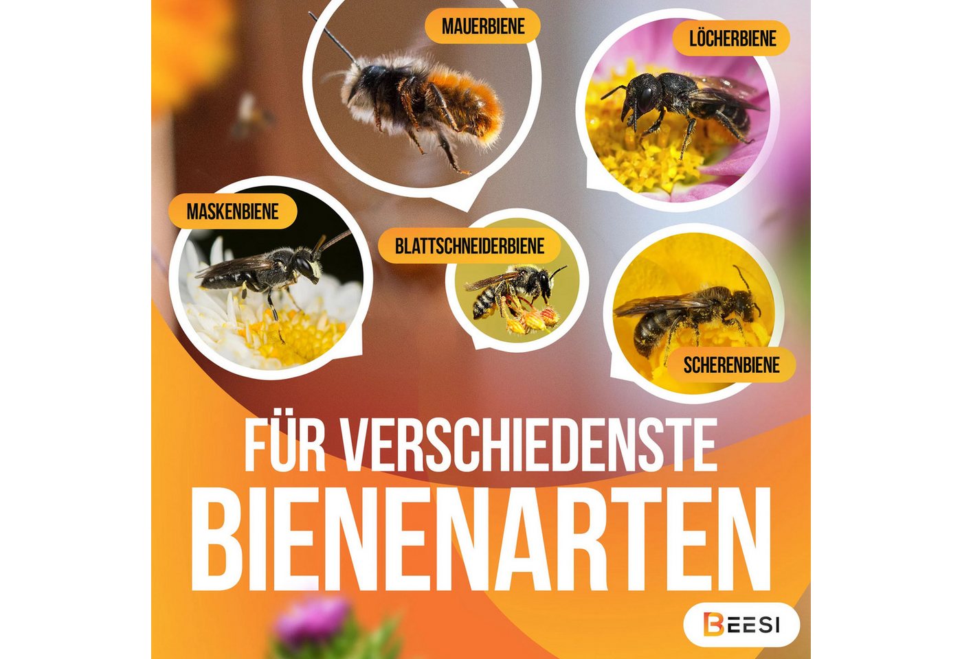 BEESI Insektenhotel Bambusröhrchen 100 Stk 10 cm – Füllmaterial, (Insektenhaus für Wildbienen, 100-St., I Wildbienenhotel Nisthülsen Bienenhotel), 10 cm Bild 2