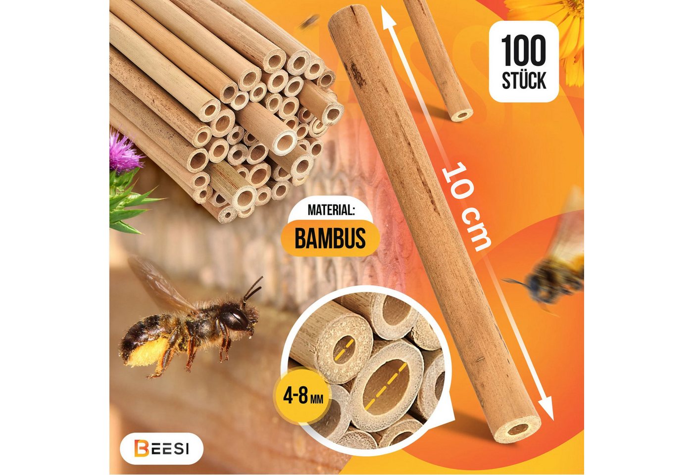 BEESI Insektenhotel Bambusröhrchen 100 Stk 10 cm – Füllmaterial, (Insektenhaus für Wildbienen, 100-St., I Wildbienenhotel Nisthülsen Bienenhotel), 10 cm Bild 3
