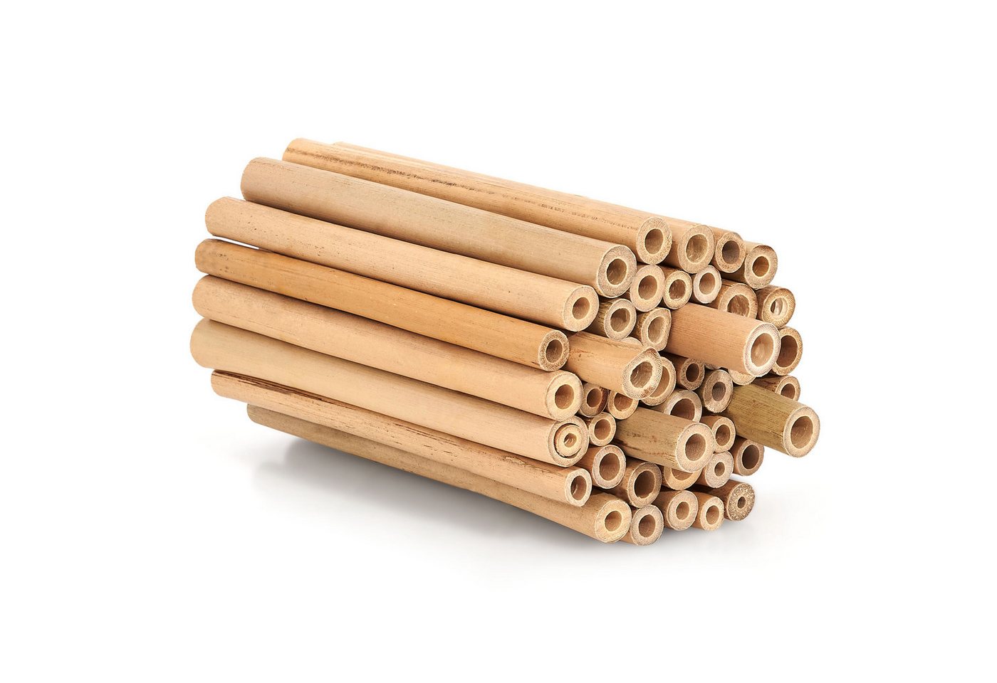 BEESI Insektenhotel Bambusröhrchen 100 Stk 10 cm – Füllmaterial, (Insektenhaus für Wildbienen, 100-St., I Wildbienenhotel Nisthülsen Bienenhotel), 10 cm Bild 4