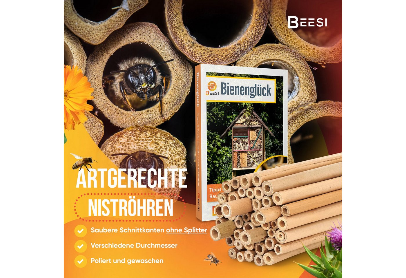BEESI Insektenhotel Bambusröhrchen 100 Stk 10 cm – Füllmaterial, (Insektenhaus für Wildbienen, 100-St., I Wildbienenhotel Nisthülsen Bienenhotel), 10 cm Bild 5