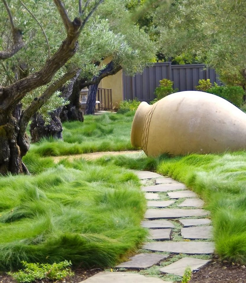 BALDUR Garten Gräser Gräser-Teppich 'Carex Remota', 15 St., Winkel-segge, immergrün, winterhart, mehrjährig