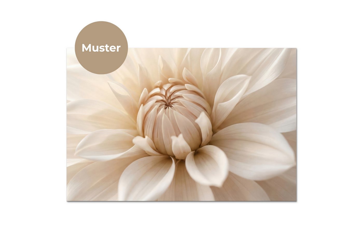 KitchenYeah Küchenrückwand Muster selbstklebend (keine Folie) Blume - Dahlie - Weiß, (1-tlg), Spritzschutz, Küche, Rückwand, Küchenwand, Küchenfront, 30x20 cm Bild 4
