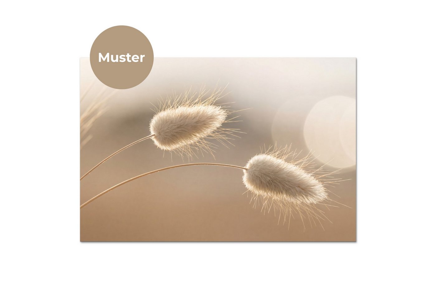 KitchenYeah Küchenrückwand Muster selbstklebend (keine Folie) Dunstschwanzgras - Grannenhaare - S, (1-tlg), Spritzschutz, Küche, Rückwand, Küchenwand, Küchenfront, 30x20 cm Bild 3