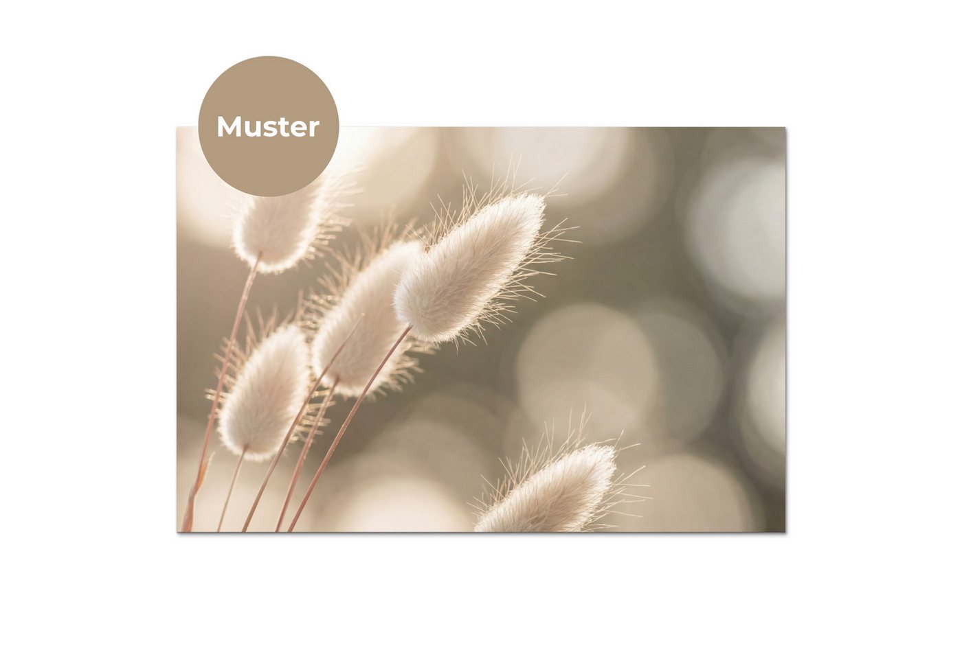 KitchenYeah Küchenrückwand Muster selbstklebend (keine Folie) Haselschwanzgras - Weiß - Sonnenlic, (1-tlg), Spritzschutz, Küche, Rückwand, Küchenwand, Küchenfront, 30x20 cm Bild 3