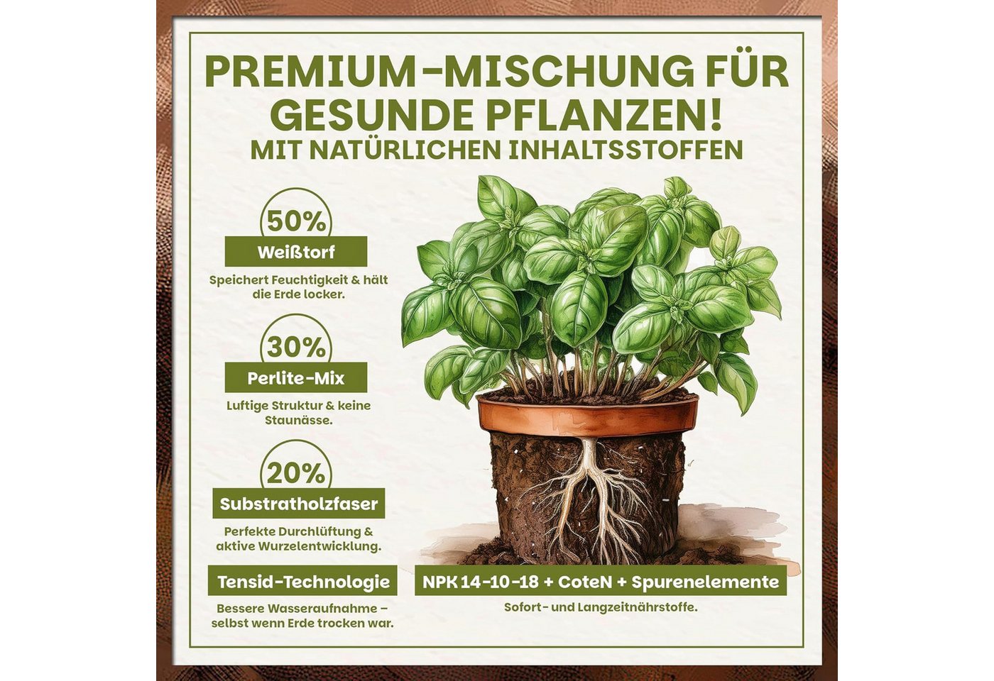 GREEN HOME LOVE NATURE Anzucht- und Kräutererde Anzucht- & Kräutererde, Aussaaterde für Gemüse, Kräuter & Tomaten 18 L, 36 L, 72 L, Langzeitdünger, Perlit, Kokosfasern, pH 5,8, lockere Struktur Bild 5